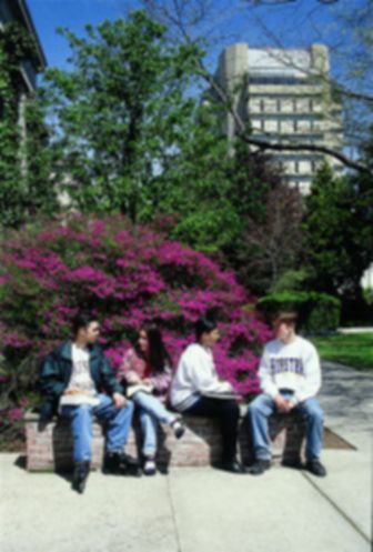 Hofstra University