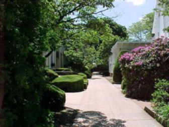 Hofstra University
